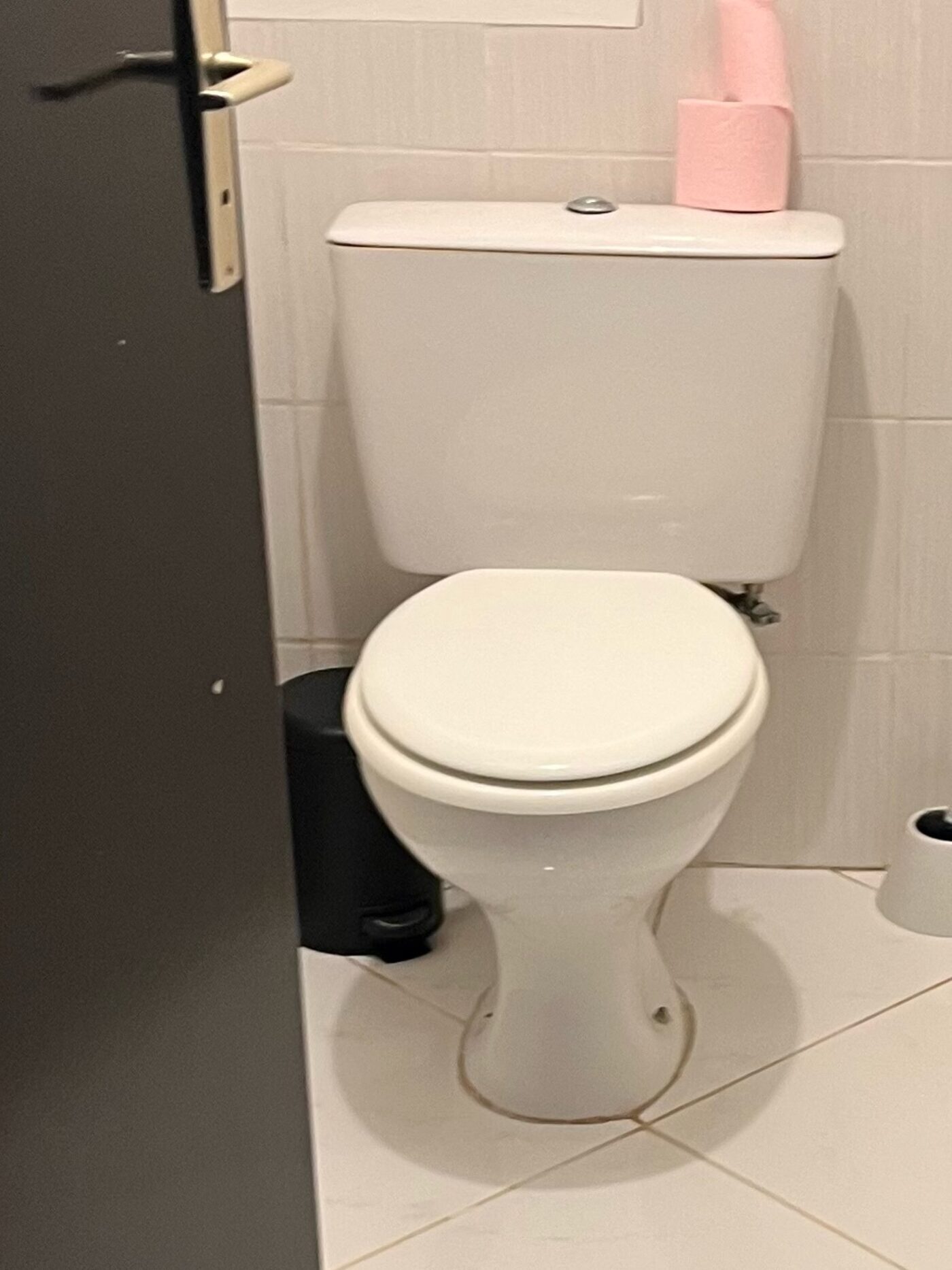 WC après détartrage et désinfection complète — Mary Clean Pro