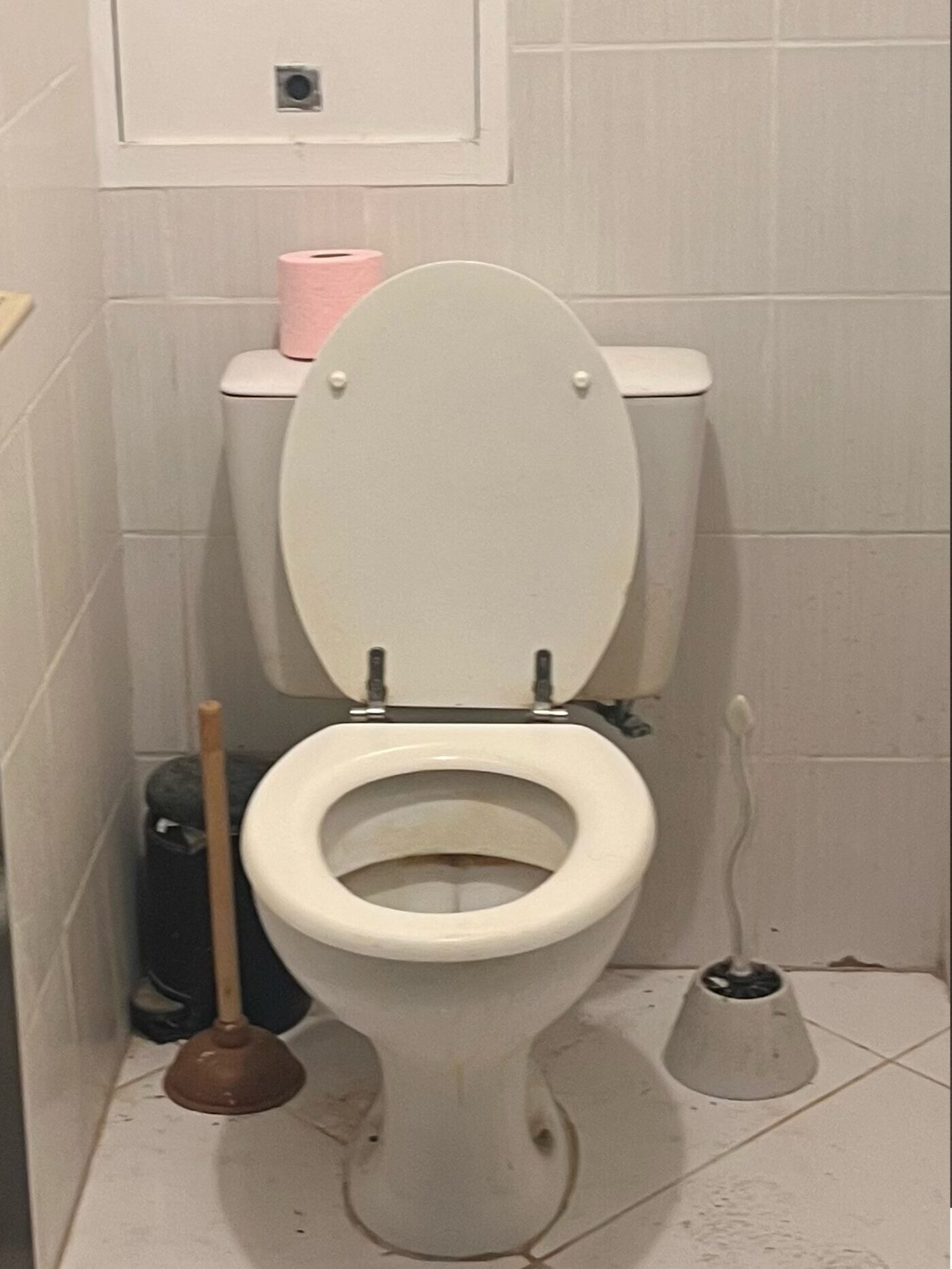 WC entartré avant détartrage et désinfection — Mary Clean Pro
